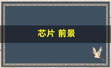 芯片 前景(景嘉微gpu芯片前景)_https://www.dcjwmf.com_中金所_第1张